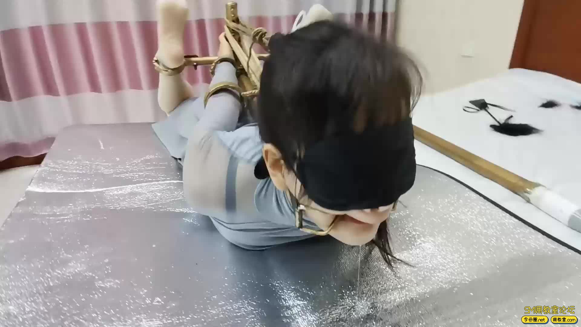 飞天原创   雅儿越玩越大，竟敢和驷马K9架叫板-视频截图5